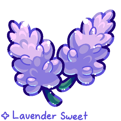 SWEET - LAVENDER